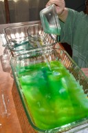 _DSC0025 - Version 2